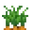 Carrots Age 3 (texture) JE2 BE2.png