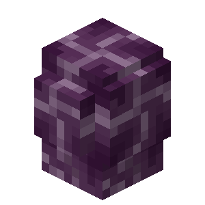 Chorus Plant Block Minecraft Wiki