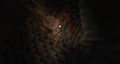 Kai in a dripstone cave, lightened by a torch, as seen from above.