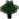 Oak BE2