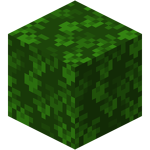 Oak Leaves (fast) BE