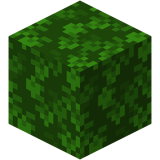 Oak Leaves (fast) BE