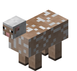 A sheared overfed sheep.