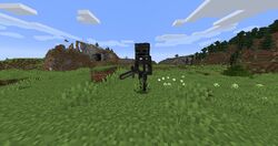 Wither Skeleton: Ender Armor Variant Minecraft Skin