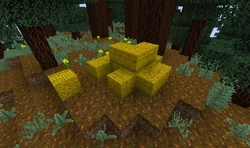 Hay bale