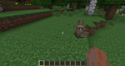 Rabbit - Minecraft Guide - IGN