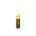 Torch.png