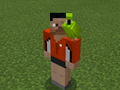 Green Parrot on Cyclist Steve.png