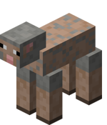 Sheared Light Gray Sheep