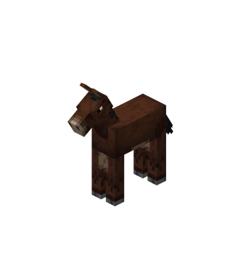 Baby_Mule