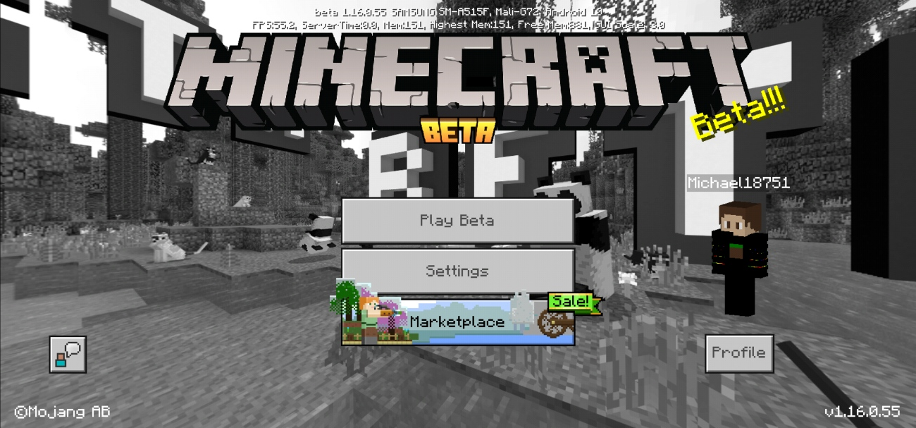 Bedrock Edition Beta 1 16 0 55 Official Minecraft Wiki