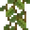 Cave Vines (plant texture) JE1.png