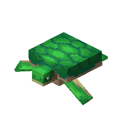 Minecraft turtle pet shop