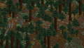 Podzol gerado naturalmente em um bioma de taiga gigante.