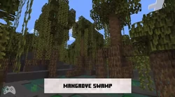 A mangrove swamp in the Minecraft Live 2021 recap video.