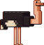 Ostrich
