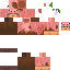 Pig Onesie's texture file.