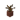 Potted Dead Bush JE4