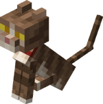 Sitting Tamed Baby Tabby Cat with Red Collar