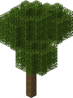 Fancy Oak
