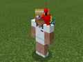 Red Parrot on Tennis Steve.png