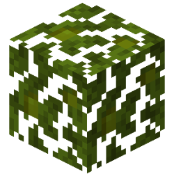 Stony Peaks