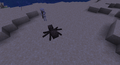 Spider shot by a skeleton.
