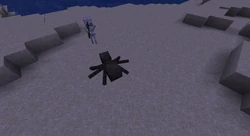 Spider shot by a skeleton.
