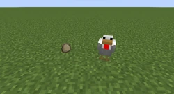 ไก่กับไข่