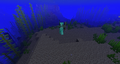 A drowned wearing armor. This occurs only on drowned zombies, not naturally spawned drowned.‌[Java Edition only]