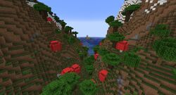 Roofed Forest biome – Pixelmon Reforged Wiki