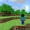 Third-person view