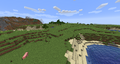 A plains biome.