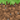 Grass Block (carried side texture) BE1