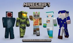 Skin pack – Minecraft Wiki