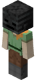Alex wearing Wither Skeleton Skull.png