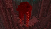 Huge Crimson Fungi