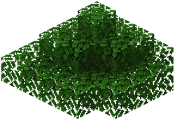 A jungle bush.