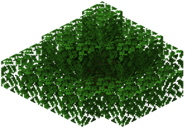  Bush