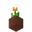 Potted Orange Tulip UNKVER2 (facing NWU).png