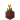 Potted Orange Tulip UNKVER2 (facing NWU)