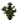 Spruce Sapling (texture) JE1 BE1