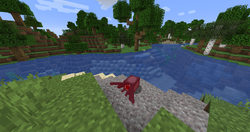 Squid Minecraft Wiki