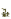 Attached Stem Age 13 JE2