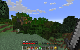 Biomes connecting in a weird way. (Left to right) Mangrove Swamp, Jungle, Forest