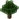 Oak JE14