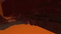 Le terrain des terres désolées du Nether.