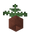 Potted Fern UNKVER1 (facing NWU).png