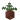 Potted Fern UNKVER1 (facing NWU)