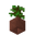 Potted Jungle Sapling UNKVER1 (facing NWU).png